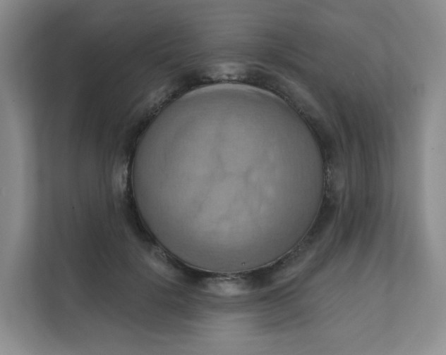 X0000111360652200907311014