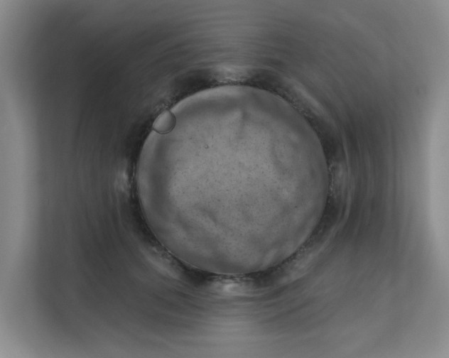 X0000111360655200907311014