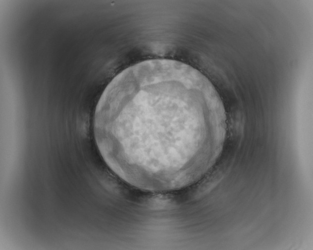 X0000111360656200907311014