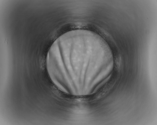 X0000111360657200907311014