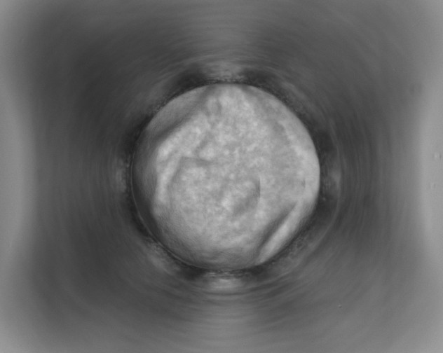 X0000111360658200907311014