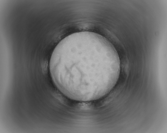 X0000111360660200907311014