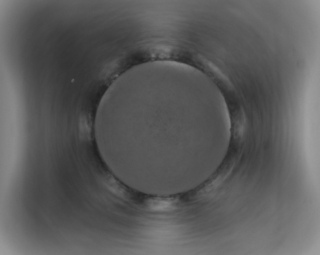 X0000111360661200907311014