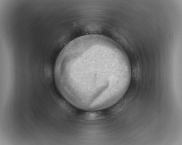 X0000111360662200907311014