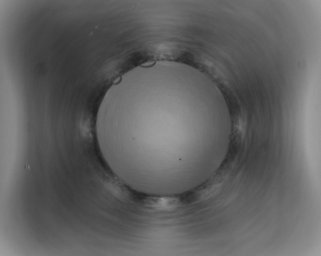 X0000111360663200907311014