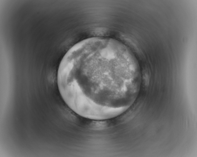 X0000111360665200907311014