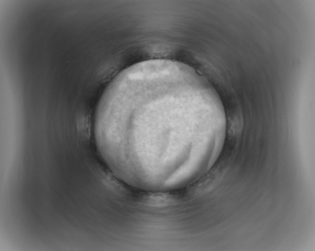 X0000111360666200907311014