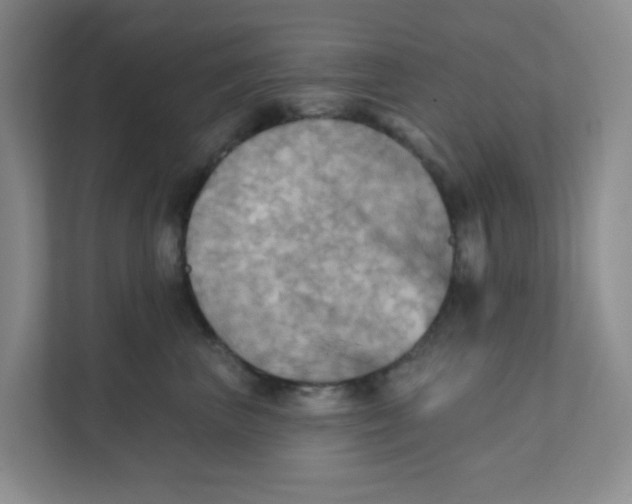 X0000111360667200907311014