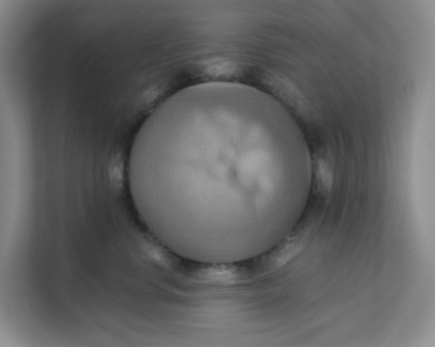 X0000111360668200907311014