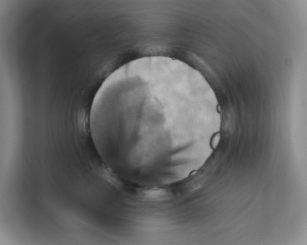 X0000111360669200907311014