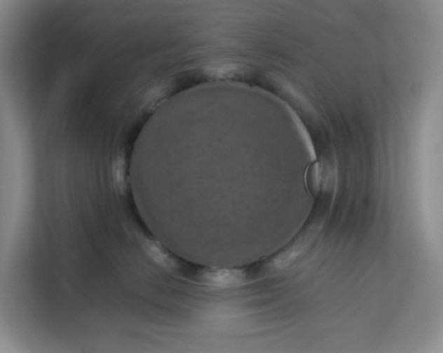 X0000111360670200907311014