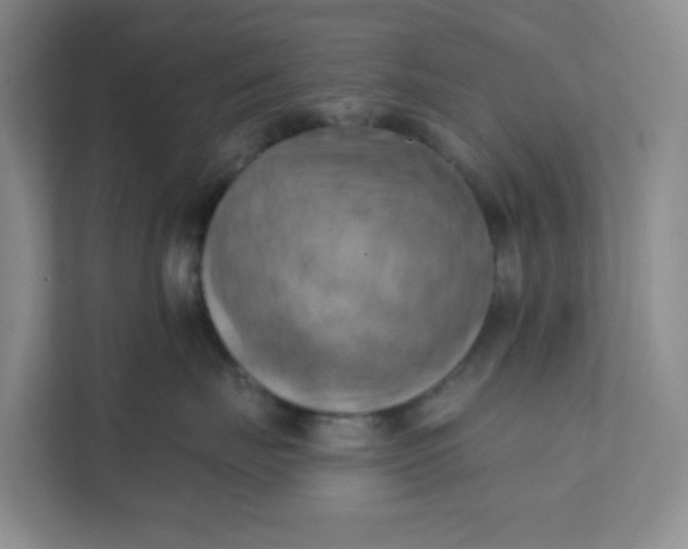 X0000111360671200907311014