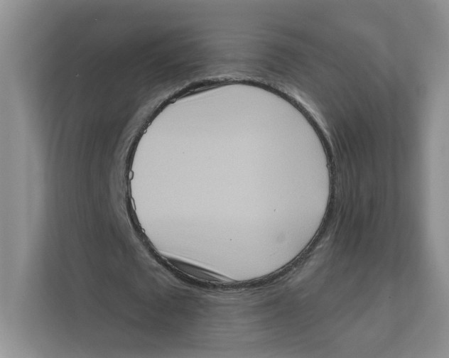 X0000111360673200907311013