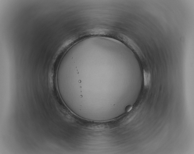 X0000111360675200907311013