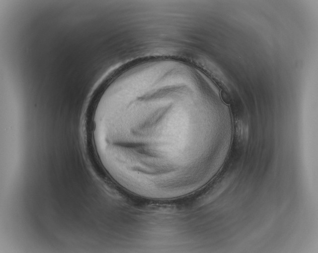 X0000111360676200907311013