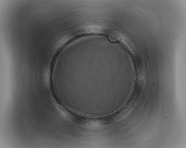 X0000111360677200907311013