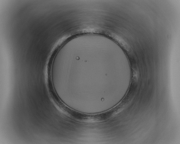 X0000111360678200907311013