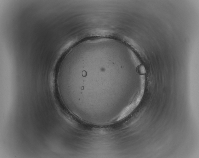 X0000111360679200907311013