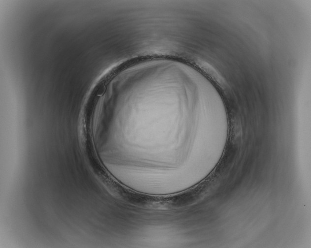 X0000111360680200907311013