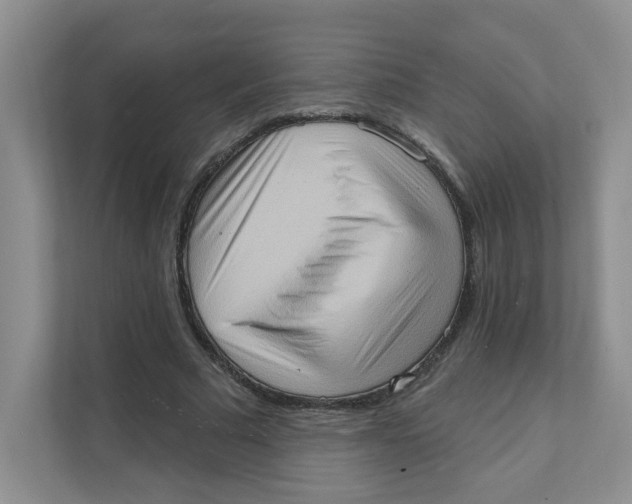 X0000111360681200907311013