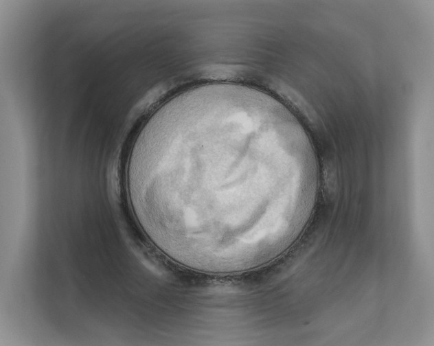 X0000111360682200907311013