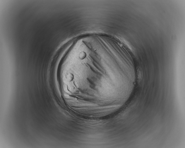 X0000111360684200907311013