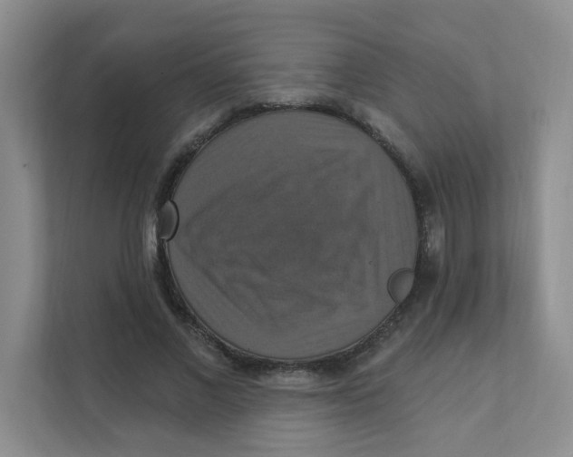 X0000111360685200907311013