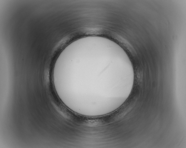 X0000111360686200907311013