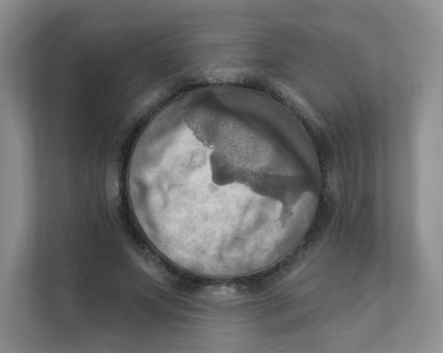 X0000111360687200907311013