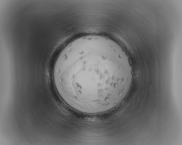 X0000111360688200907311013