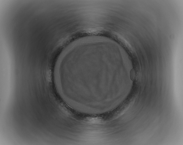 X0000111360689200907311013