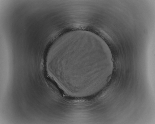 X0000111360693200907311013