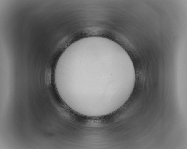 X0000111360694200907311013