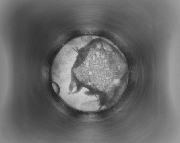 X0000111360695200907311013