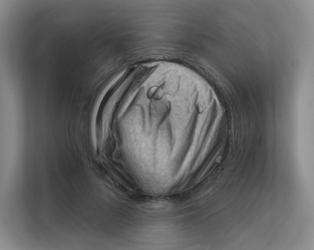 X0000111360696200907311013