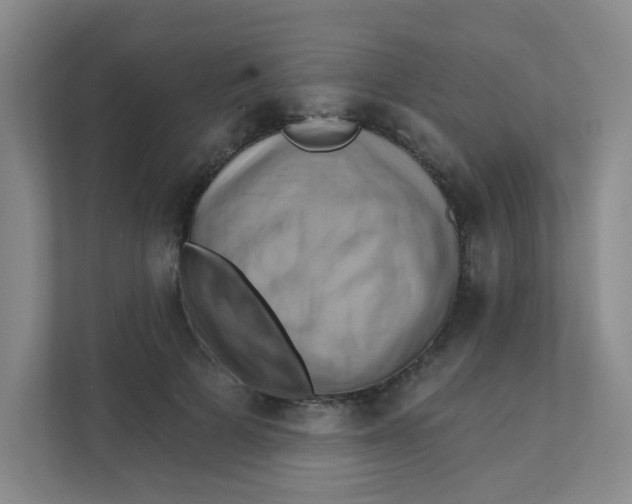 X0000111360697200907311013