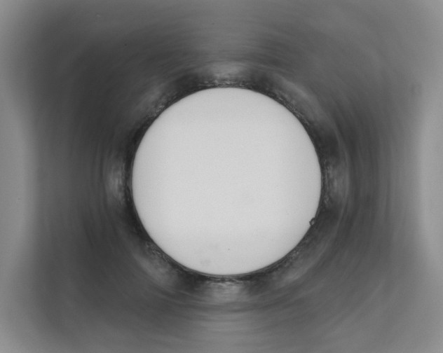 X0000111360698200907311013