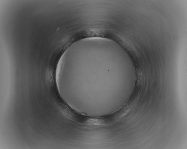 X0000111360699200907311013