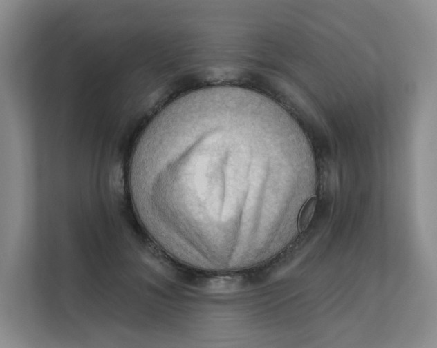 X0000111360700200907311013