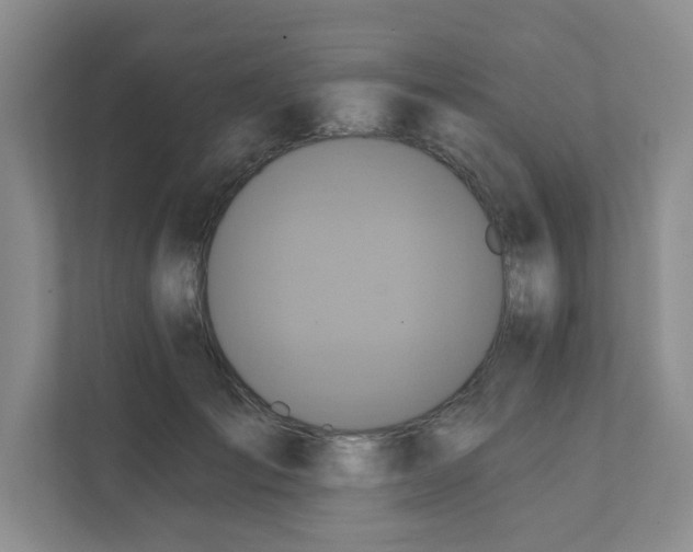 X0000111360701200907311013