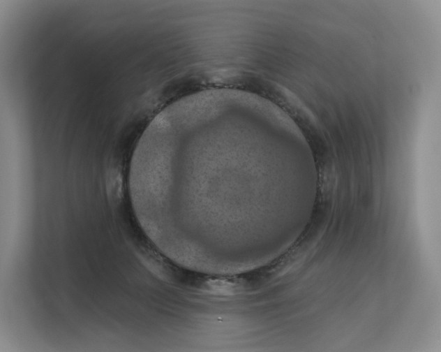 X0000111360703200907311013