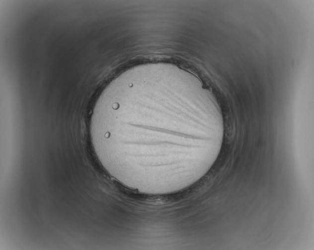 X0000111360704200907311013