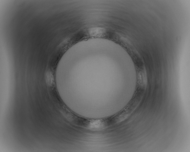 X0000111360705200907311013