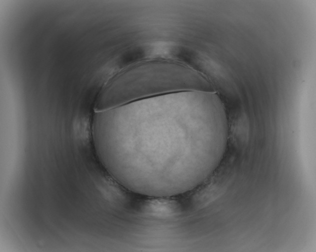 X0000111360708200907311013