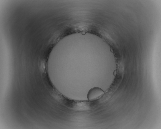 X0000111360709200907311013