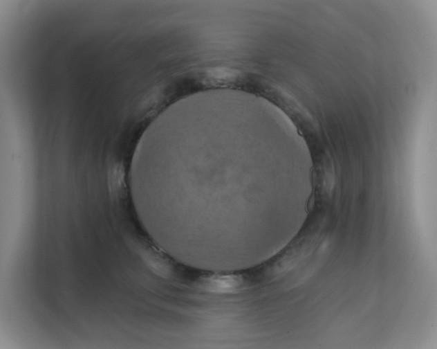 X0000111360711200907311013