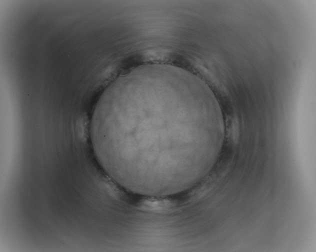 X0000111360712200907311013