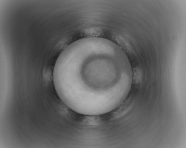 X0000111360713200907311013