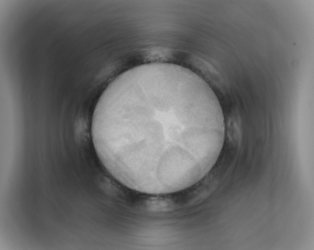 X0000111360714200907311013