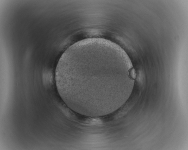 X0000111360715200907311013